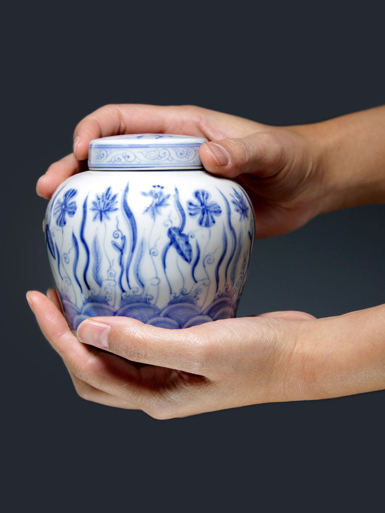 Blue and white algae pattern tea caddy