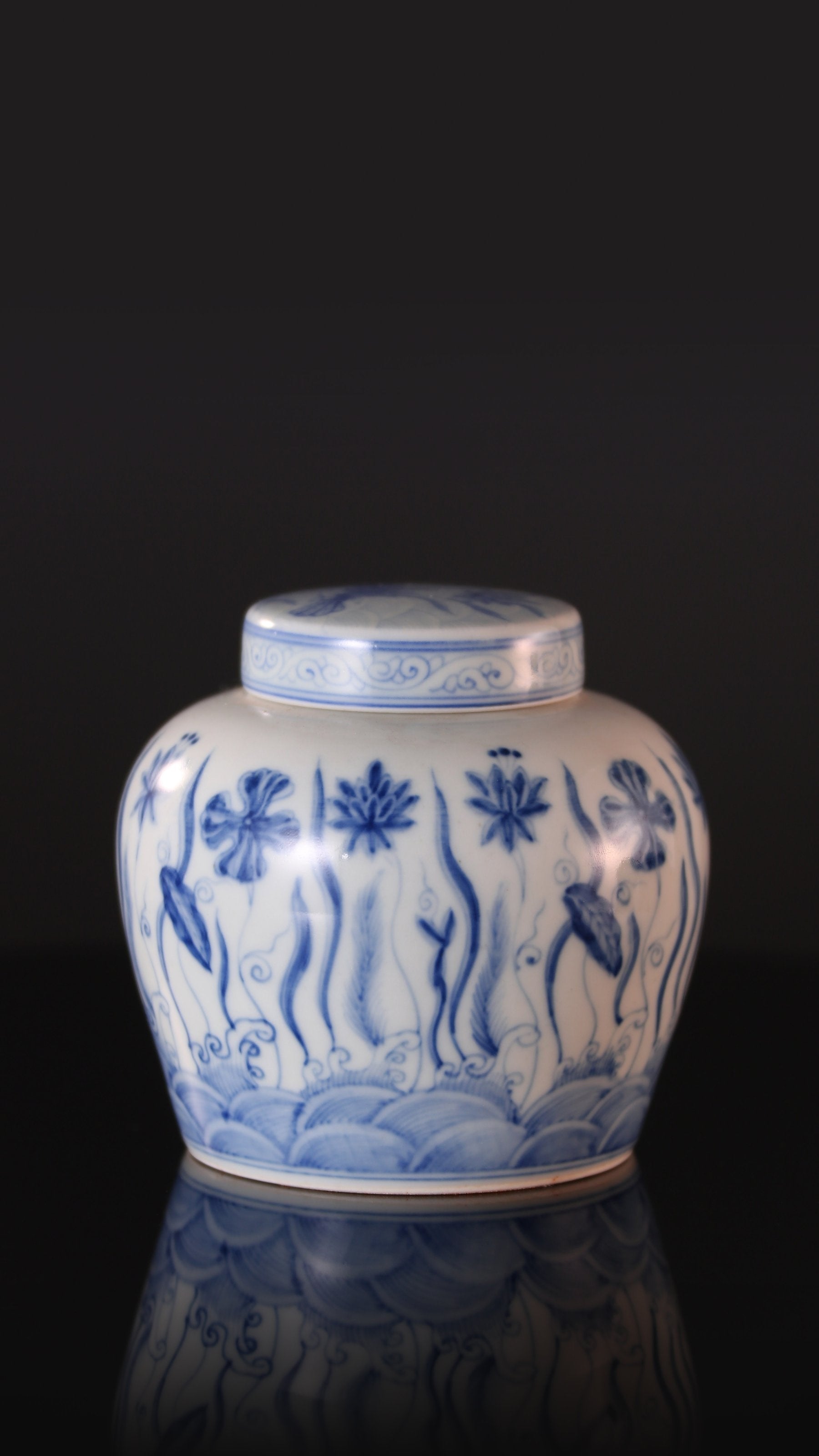 Blue and white algae pattern tea caddy
