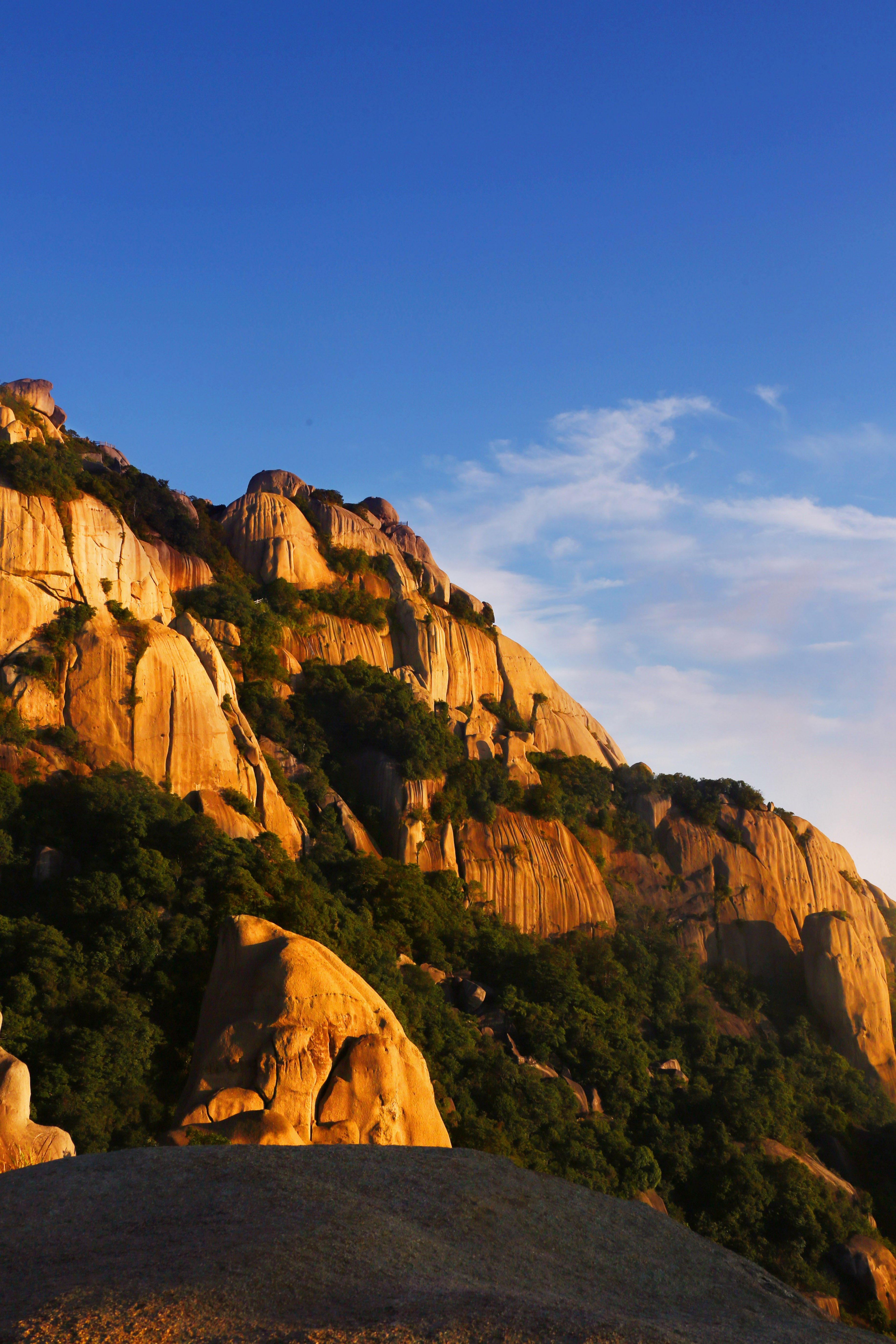 2020 Mountain Fragrance & Wild Charm