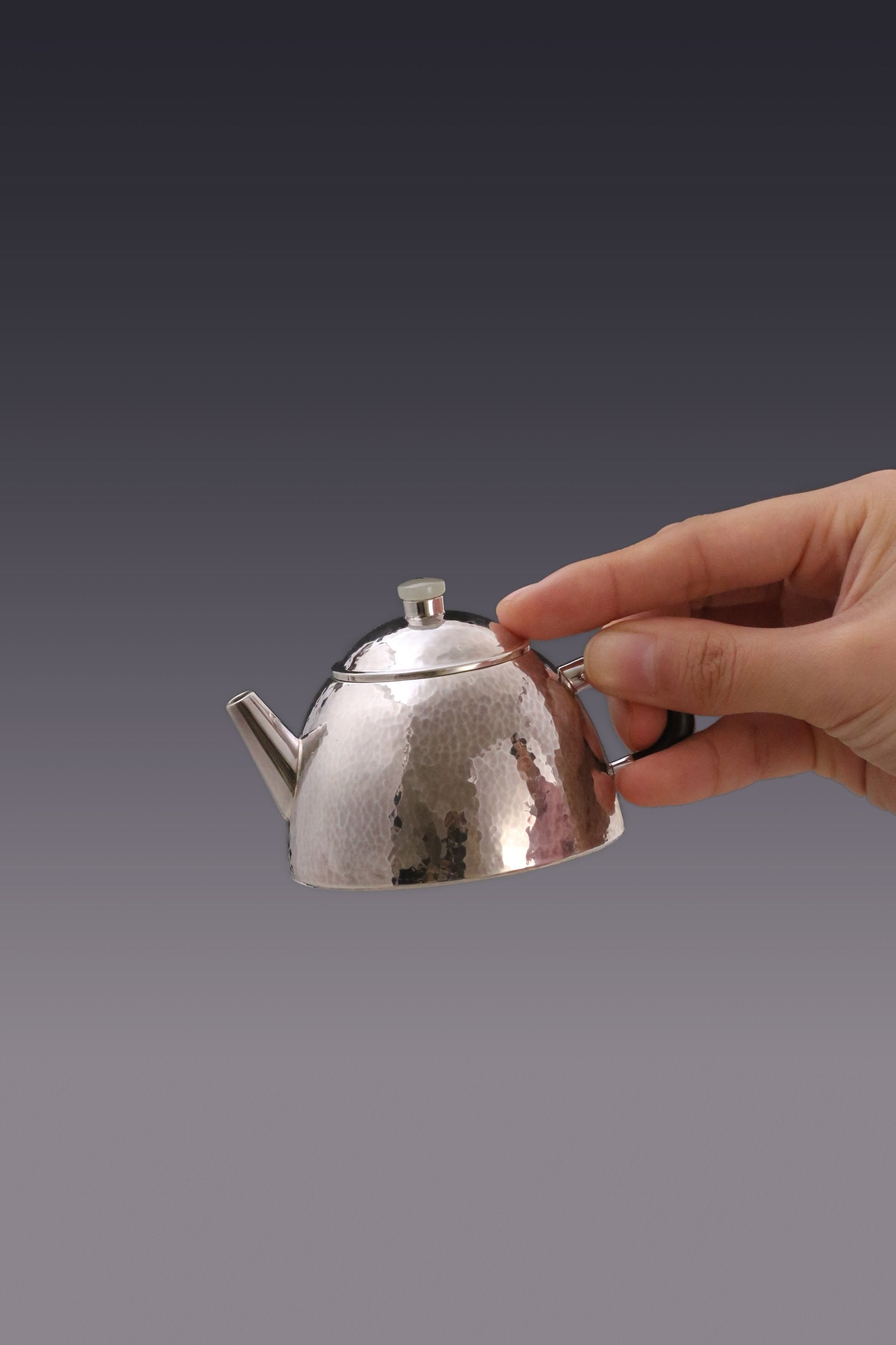 Scholar's Stone Ladle Silver Teapot