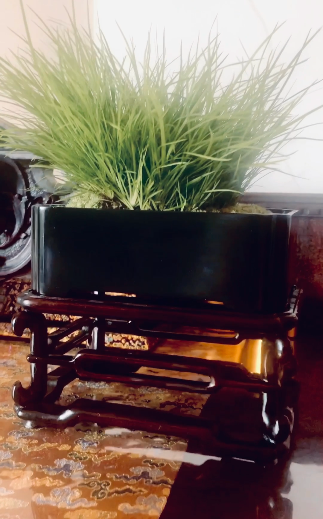 Daya Hall Inkstone and Calamus Basin