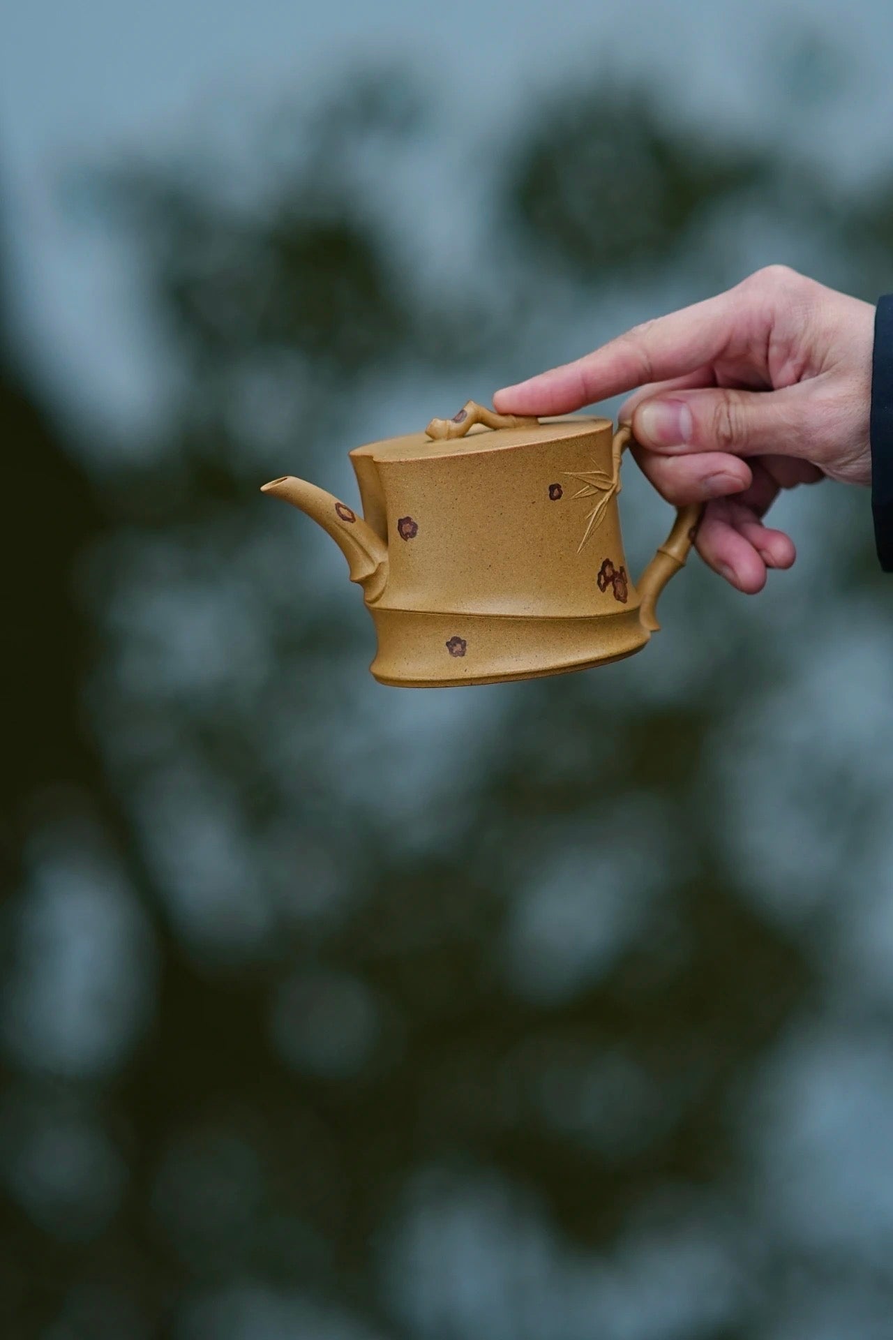 Chen Kai. Yunfei Teapot